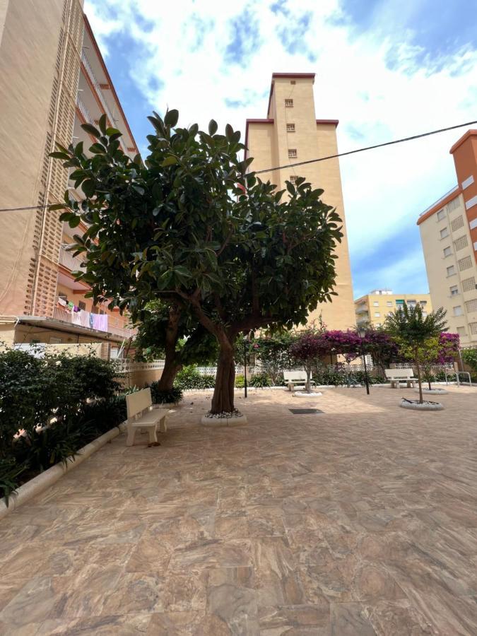 Ap Cande Playa De Gandia المظهر الخارجي الصورة