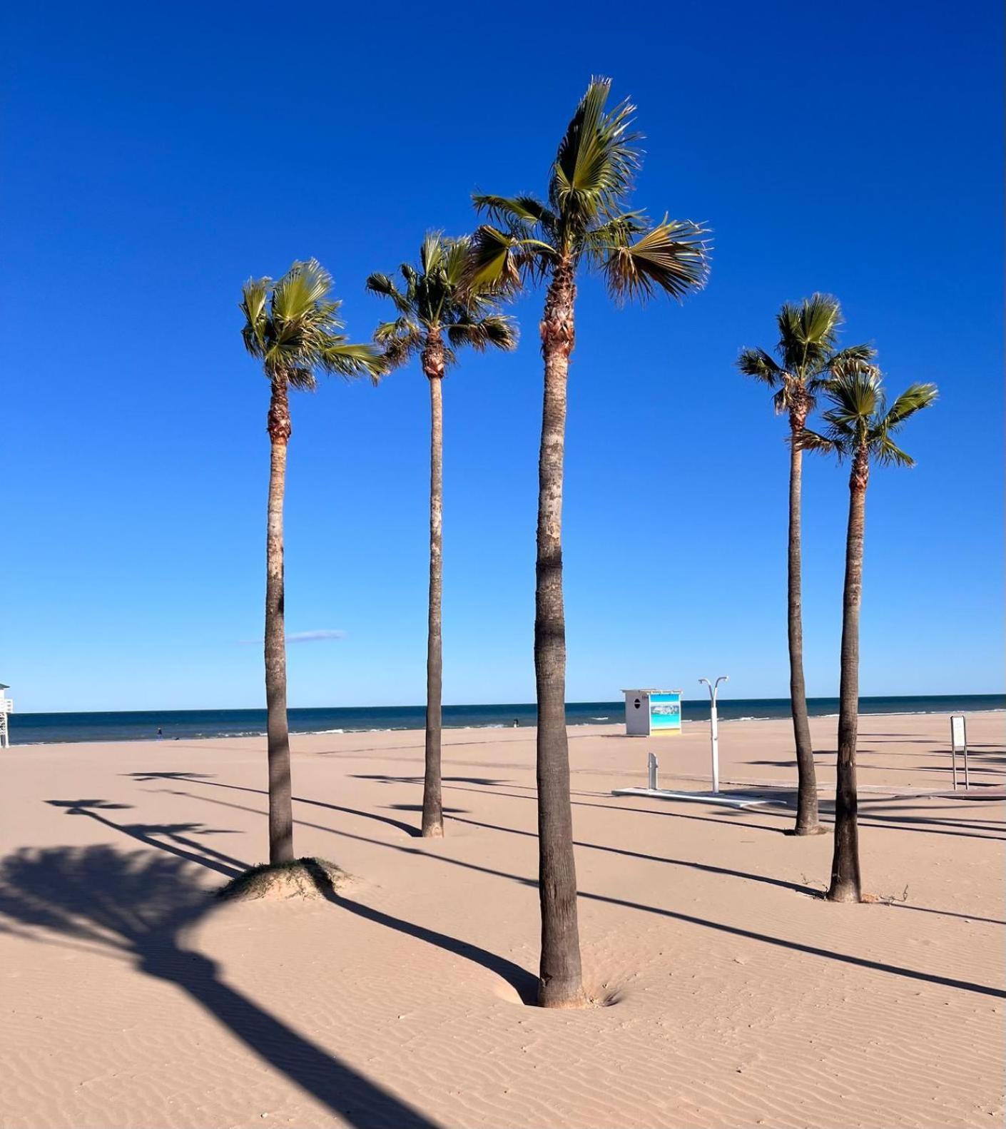 Ap Cande Playa De Gandia المظهر الخارجي الصورة